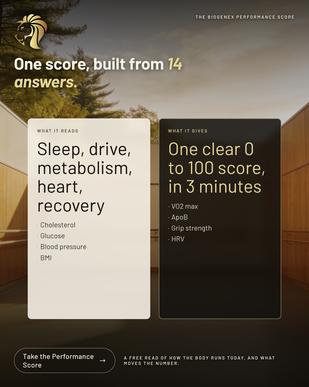 Ad concept 4